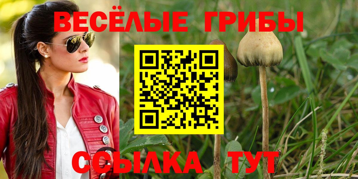 даркнет сайт  Вход с VPN  Сорочинск  Псилоцибиновые грибы мухоморы 
